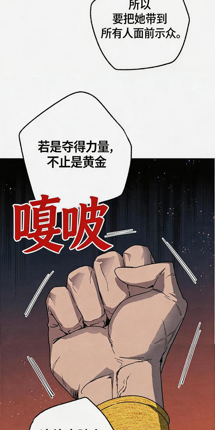 倾城伪妆 - 计划 - 第17页