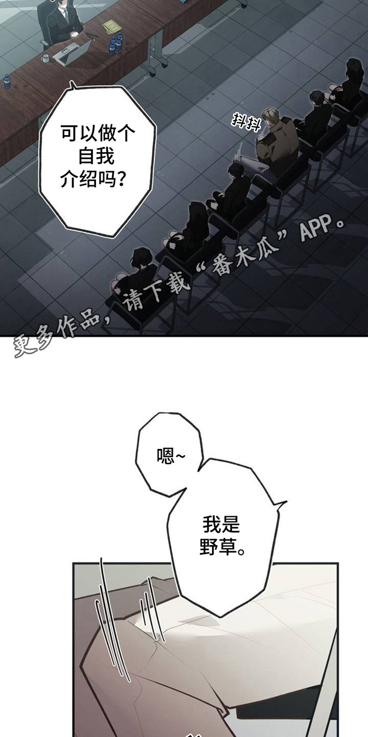普雷 - 面试 - 第6页
