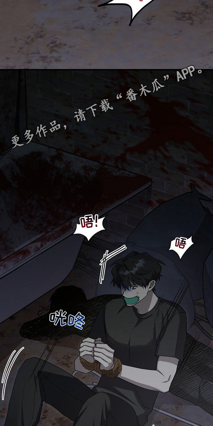 亲爱的杀手 - 被抓了 - 第15页