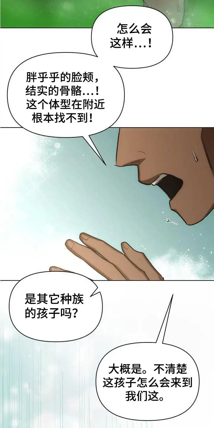 雨林让你幸福 - 部族的希望 - 第16页