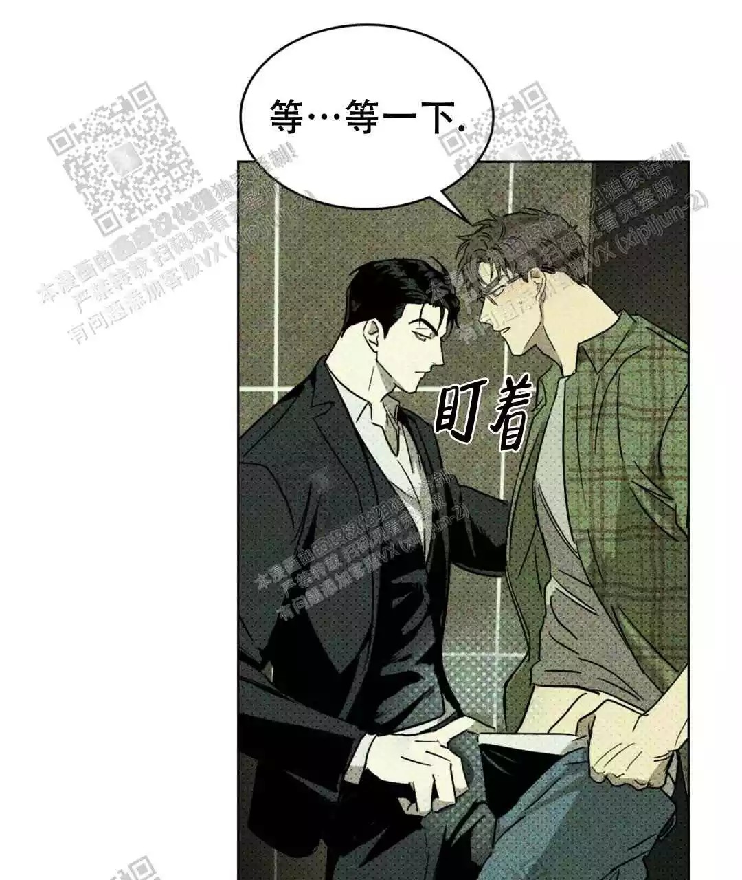 绿色镌像 - 稍微慢点 - 第5页