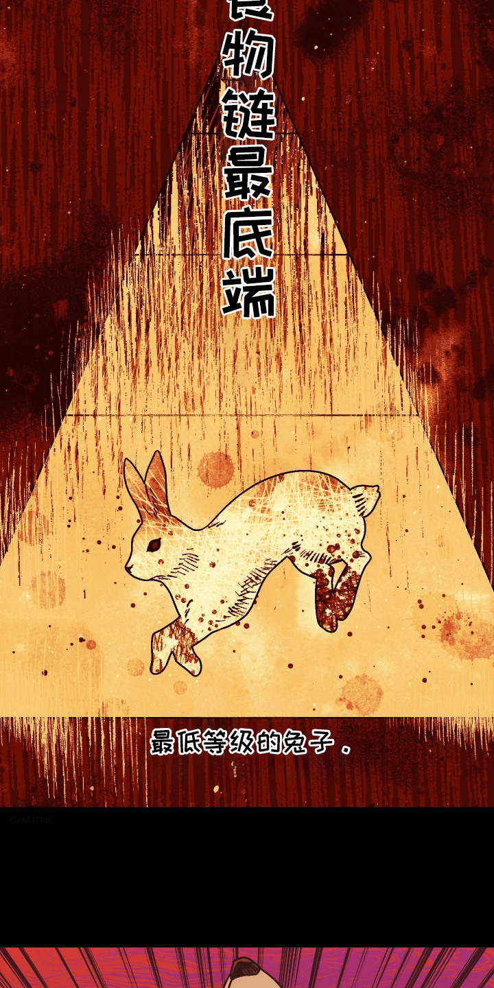 兔入狐窝 - 食物链 - 第12页