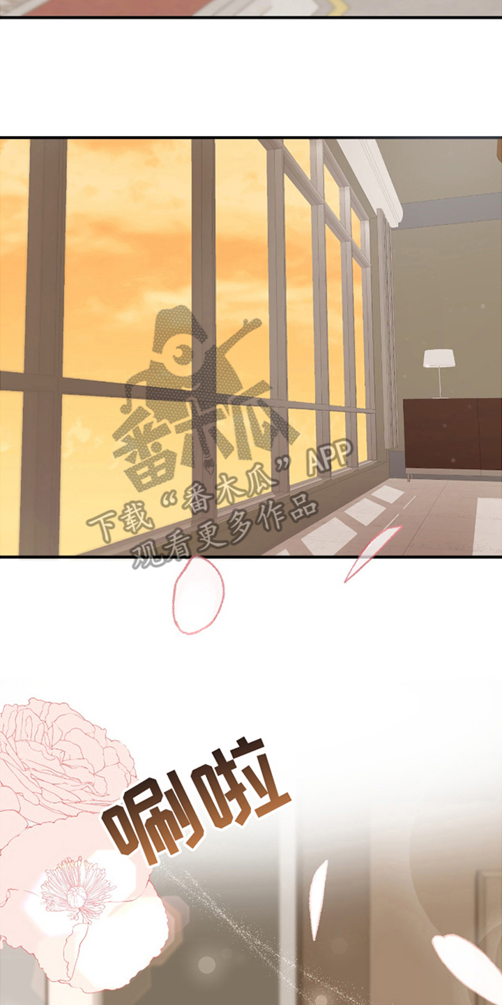 年轻的老公 - 再婚 - 第19页
