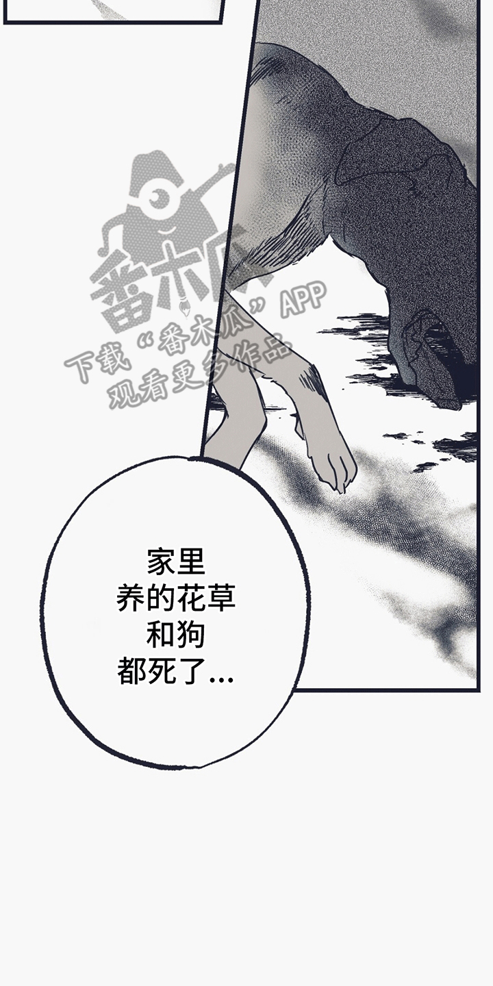 不速之客 - 希望 - 第46页