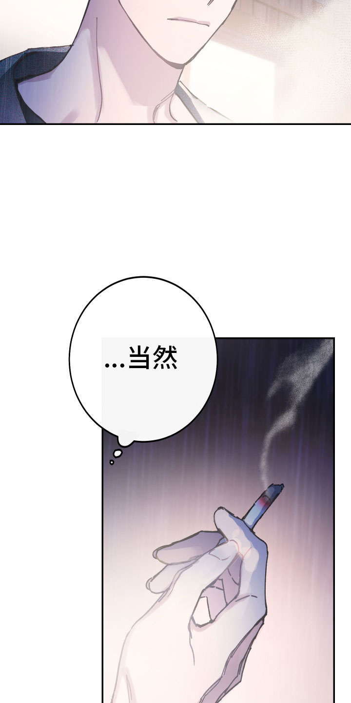 假浪漫 - 反击 - 第14页