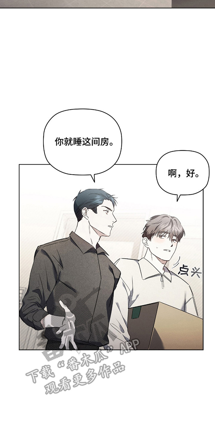 非浪漫时代 - 收留 - 第18页