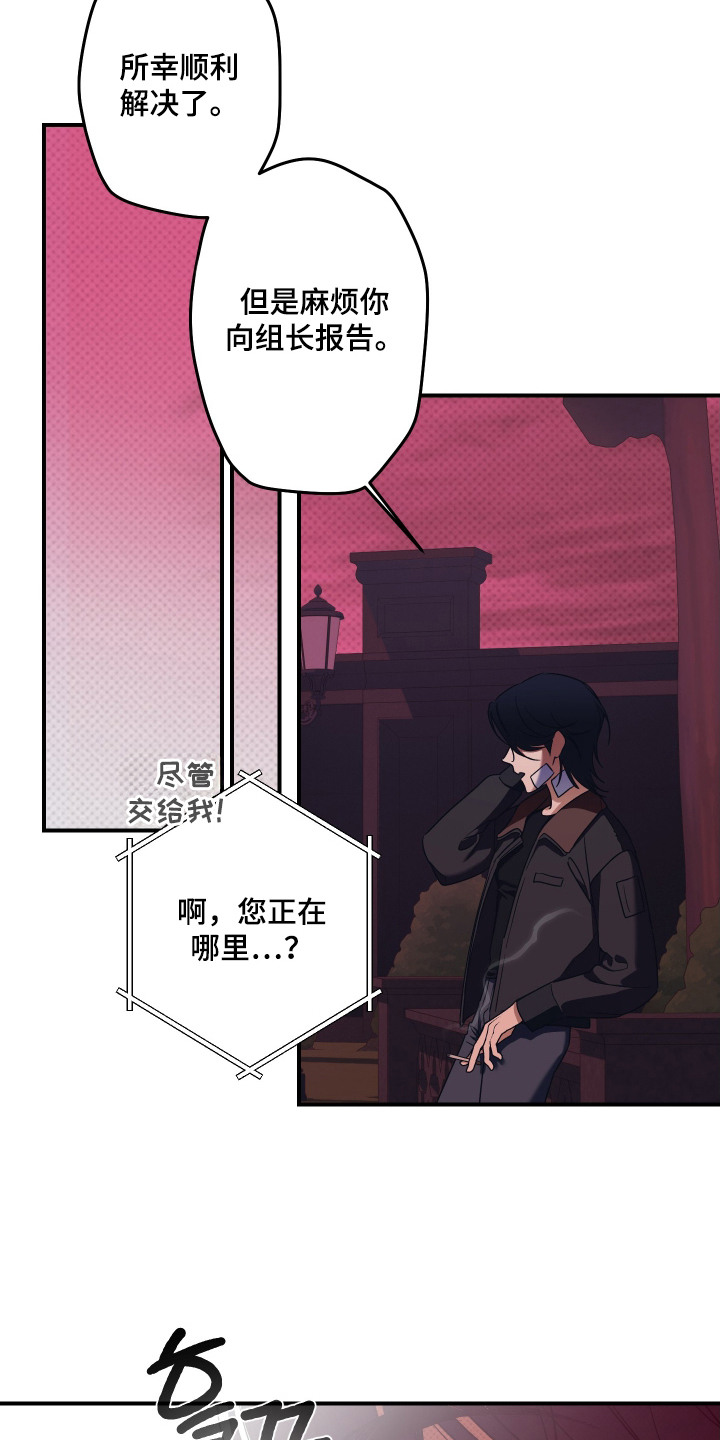 倒悬玫瑰 - 十分顺利 - 第17页