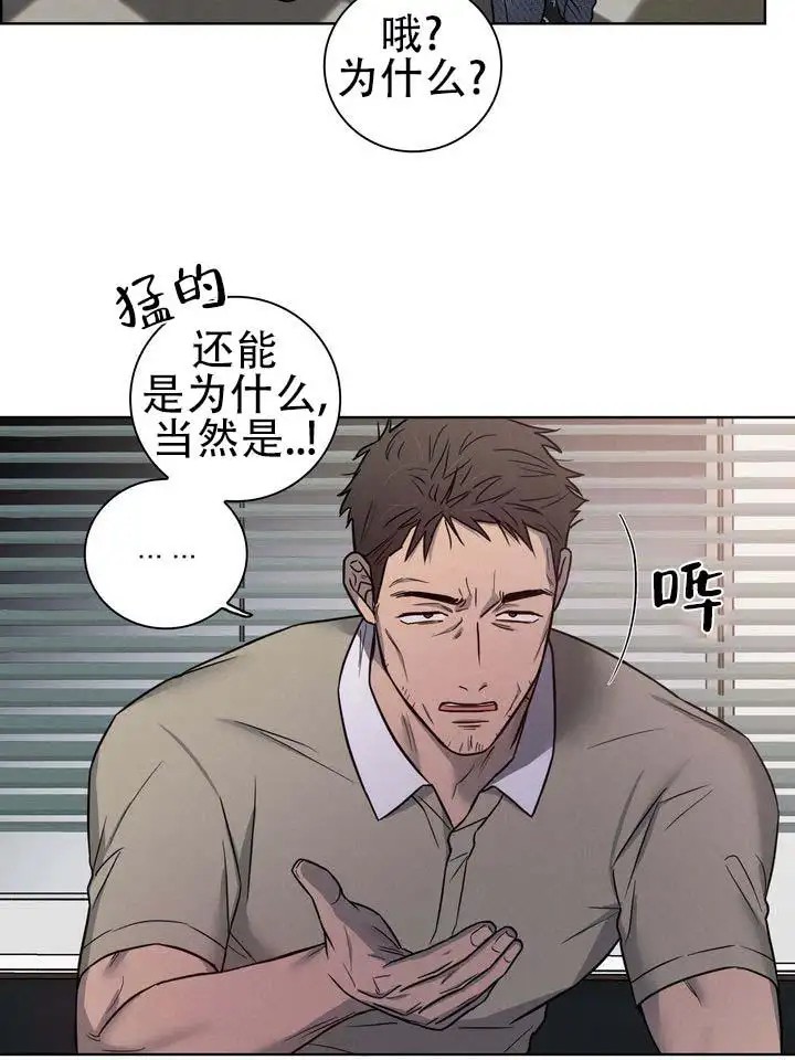 七号球袋 - 很可惜 - 第8页