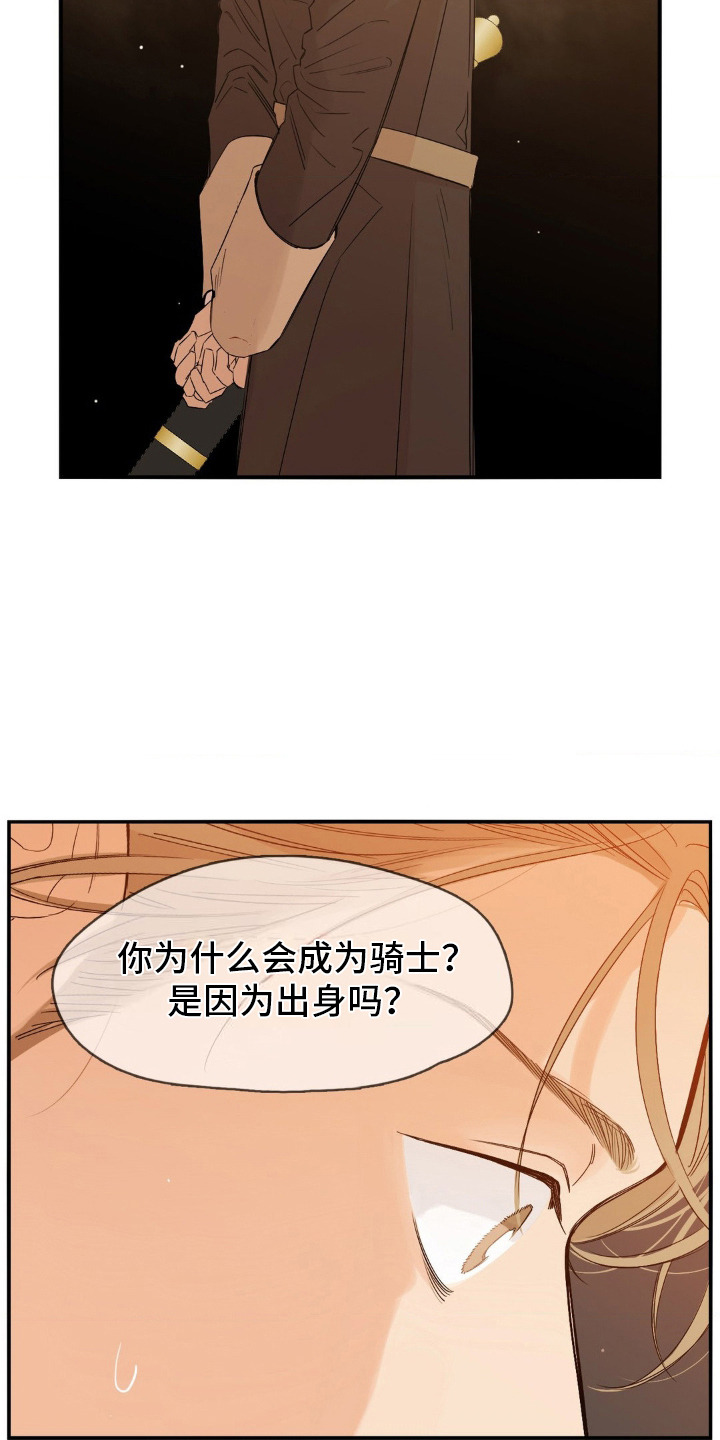 月光骑士 - 政敌 - 第13页