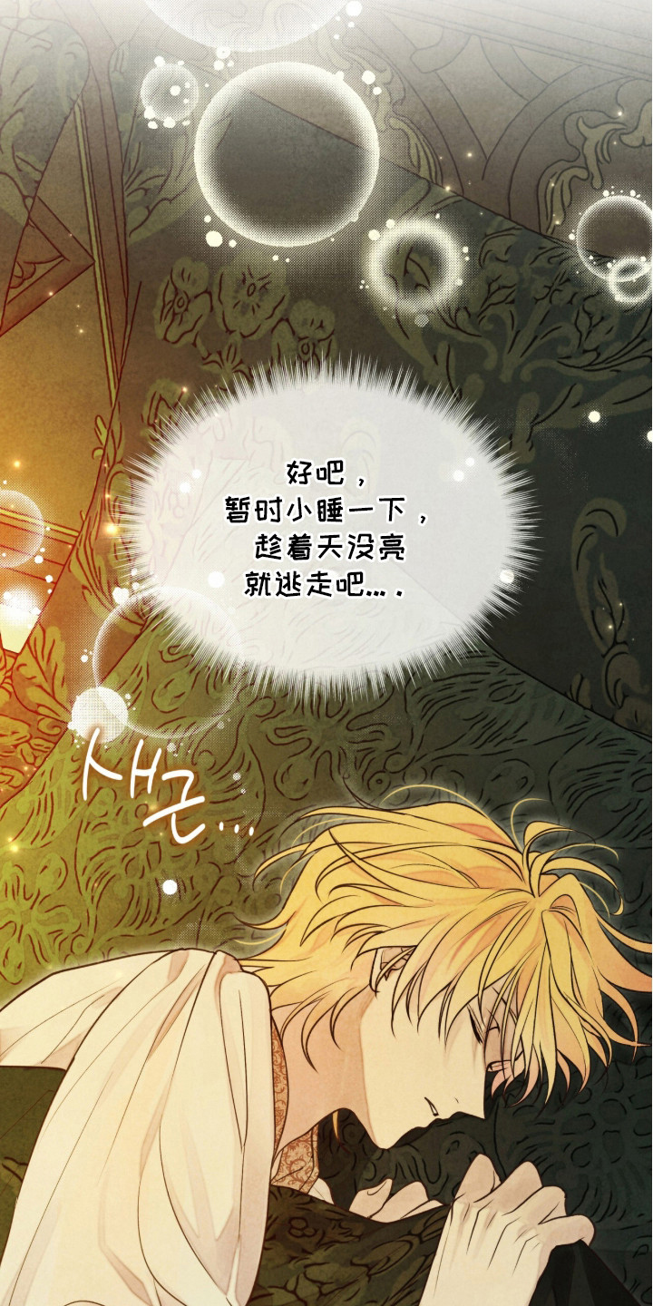 冰封的王嫁 - 睡个好觉 - 第7页