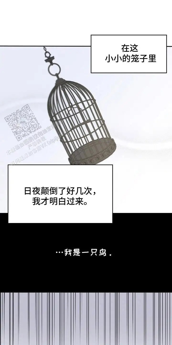 白鸟奇遇记 - 性格不好 - 第5页