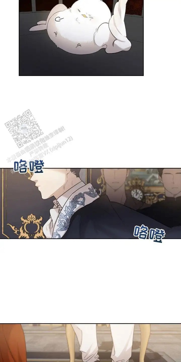 白鸟奇遇记 - 公爵 - 第13页