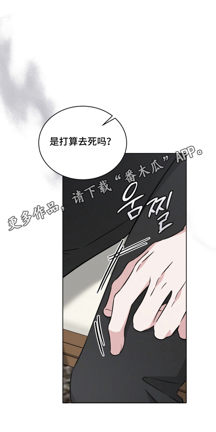 无香的花 - 两幅面孔 - 第17页