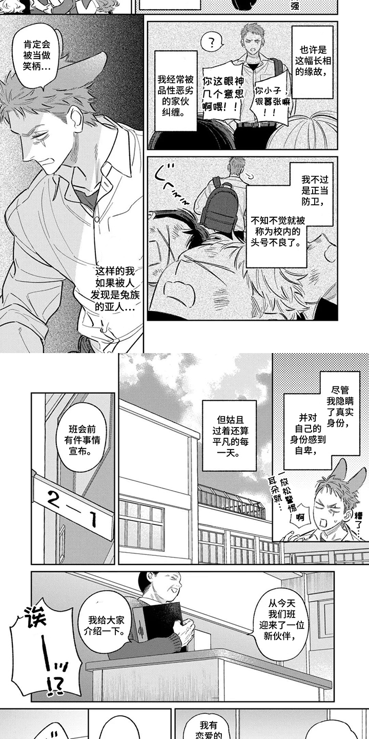 亲爱的兔子男孩 - 转学生 - 第5页