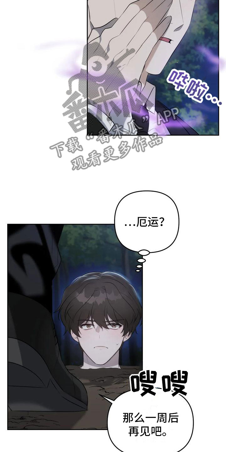 神秘的能力 - 你是巫师？ - 第11页