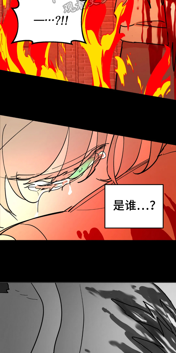 无根之树 - 疑问 - 第8页