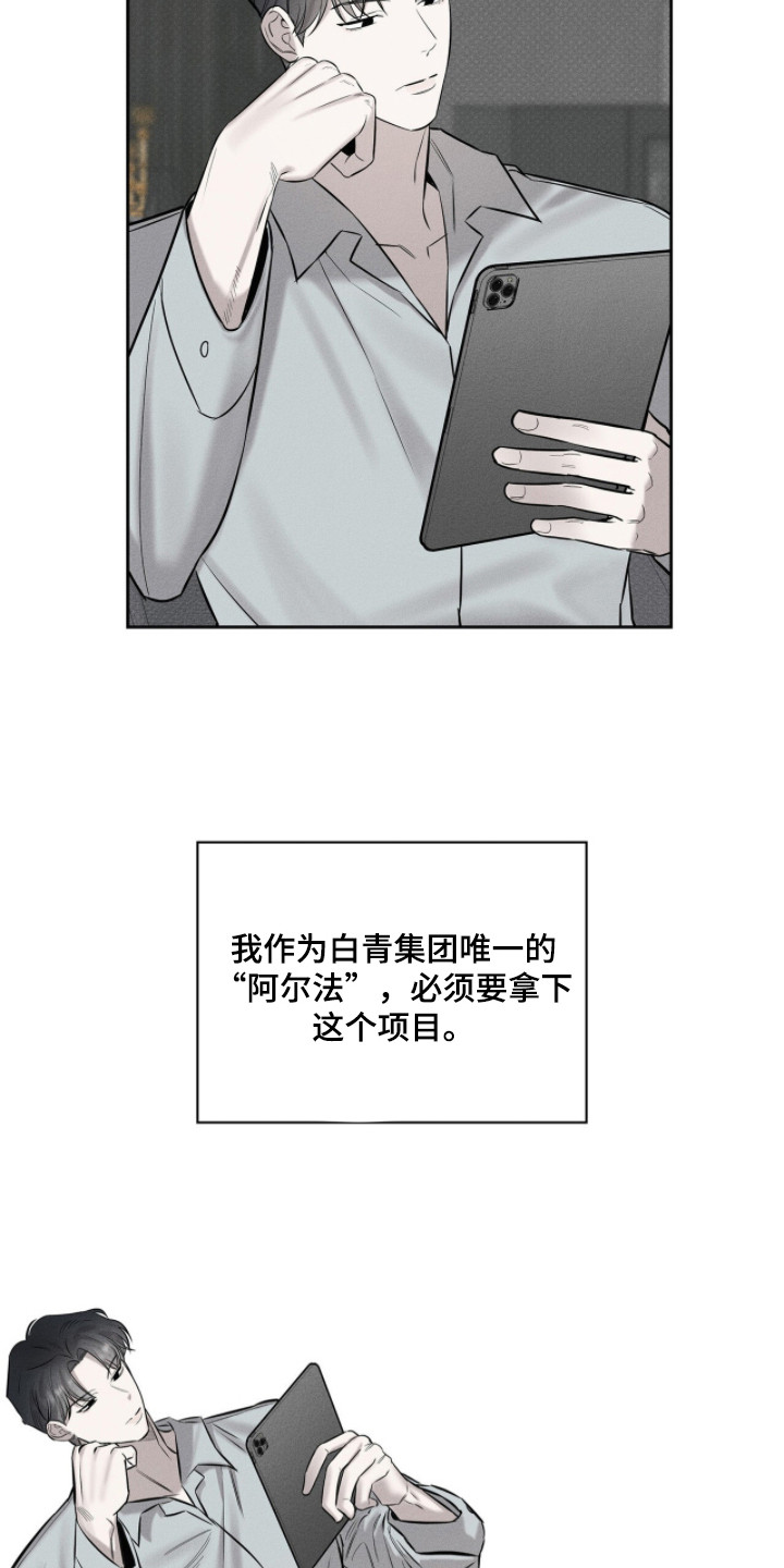 优性引力 - 大项目 - 第22页