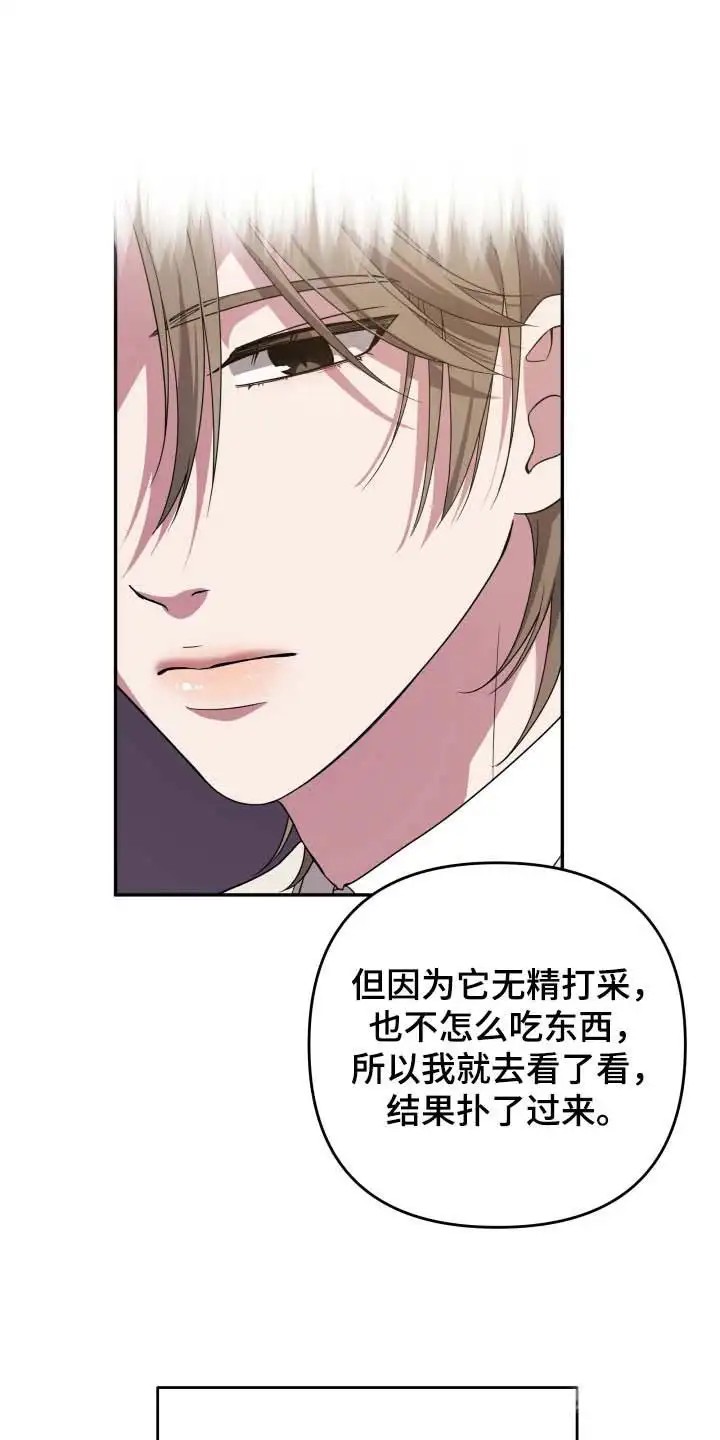 猛宠旧情 - 狼崽 - 第11页
