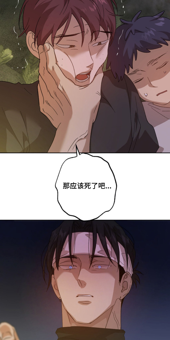 双生悲愿 - 争取时间 - 第28页