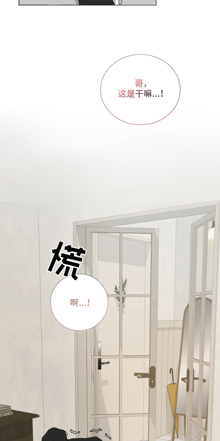纯血人类与家养兔 - 进退维谷 - 第13页