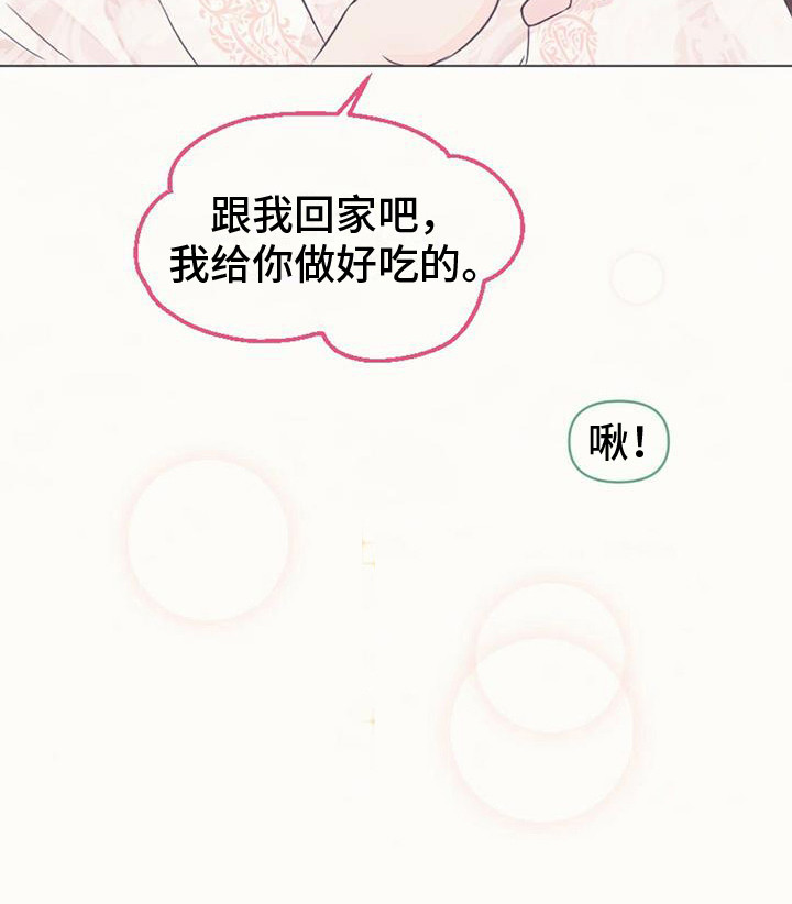 兔兔的小龙宝 - 取名 - 第21页