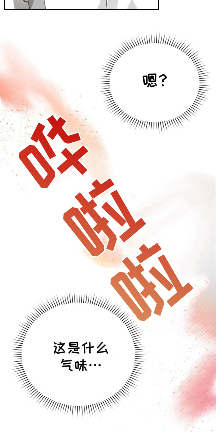 温柔执念 - 剧情走向 - 第5页