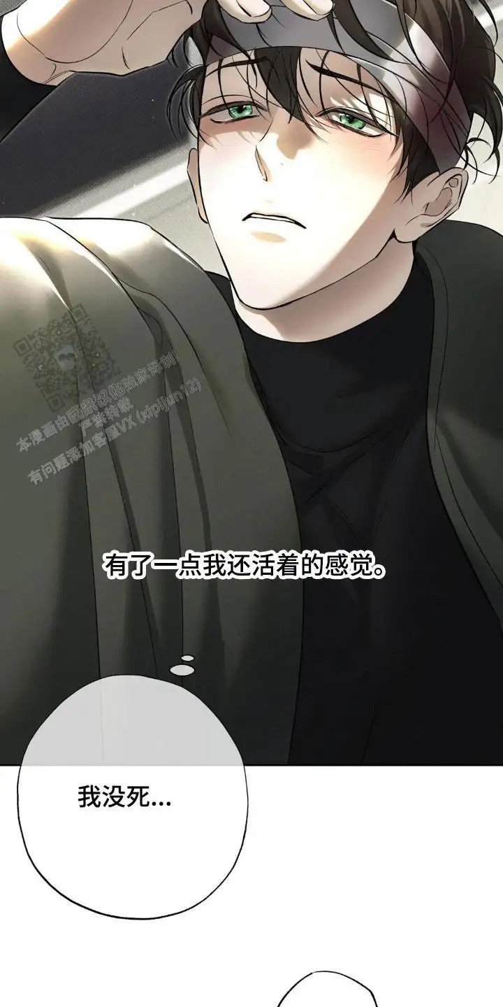 无息之行 - 回家 - 第20页
