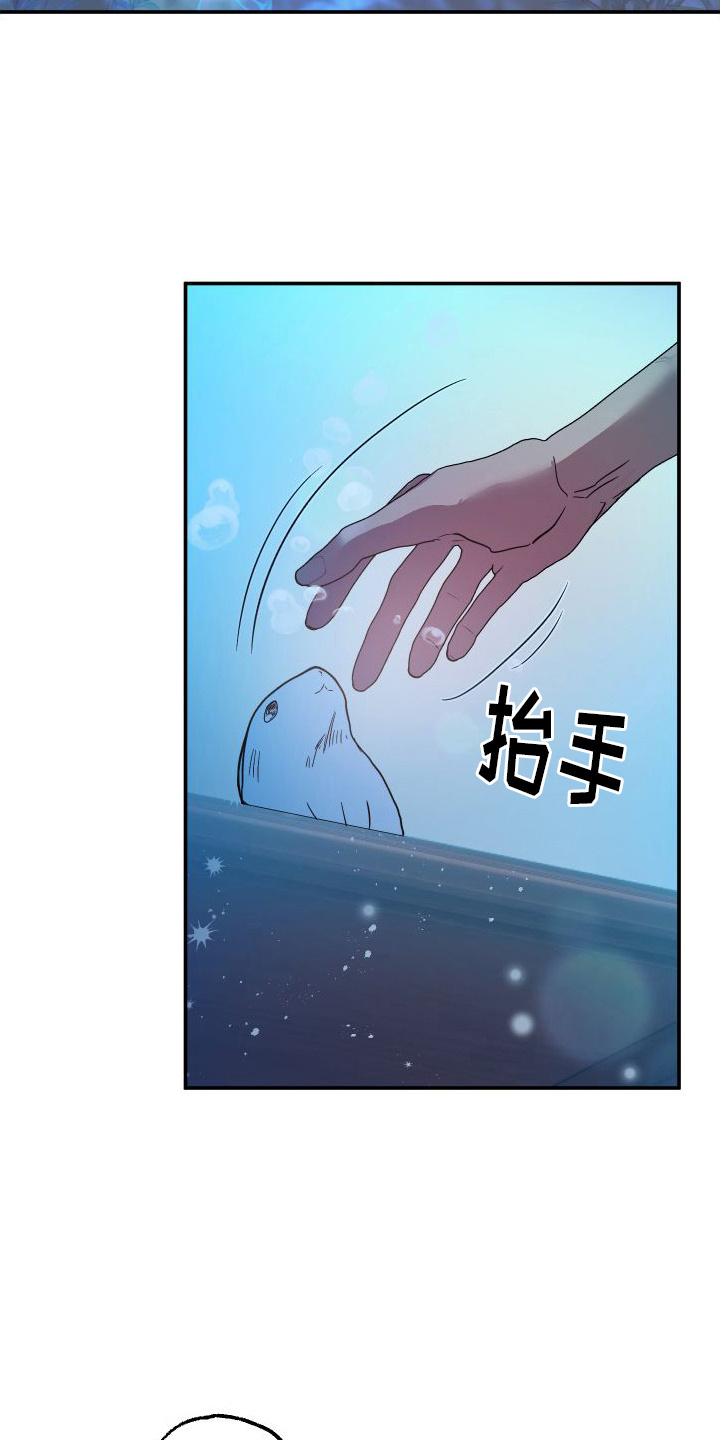 鲨鱼的新娘 - 兔子雕刻 - 第12页