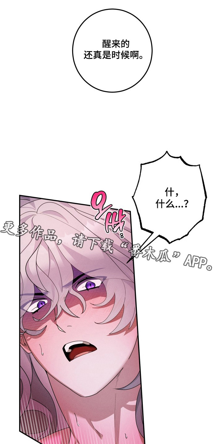 玄华囚笼 - 玄华国 - 第7页