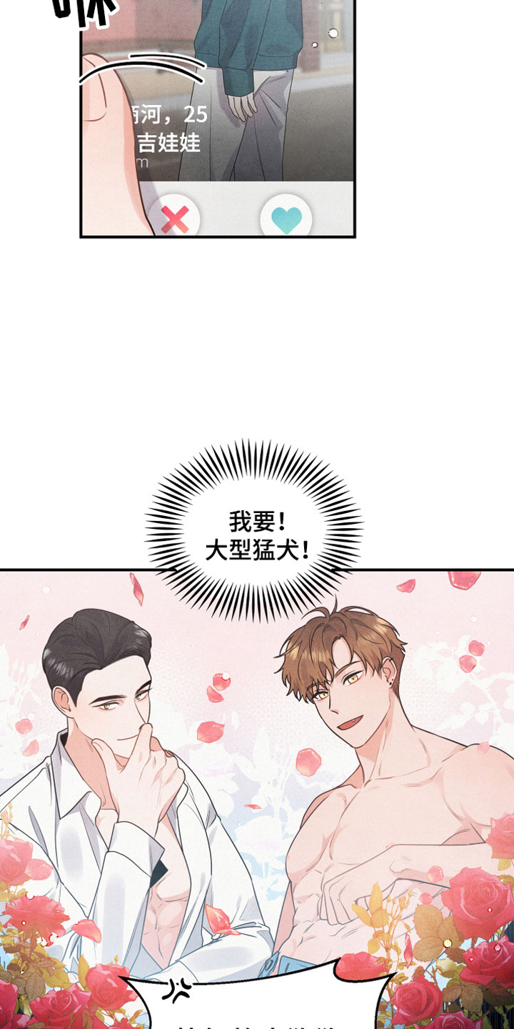 狗狗的恋爱 - 小型犬 - 第5页