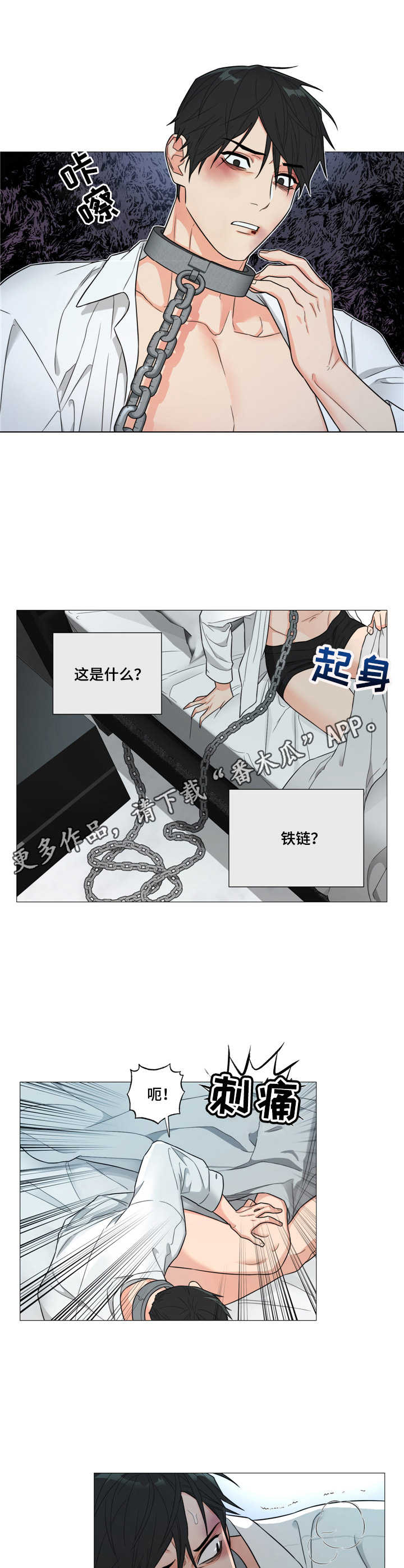 囚笼之爱 - 铁链 - 第10页