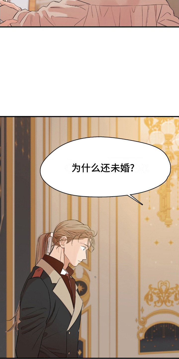 月光骑士 - 政敌 - 第8页
