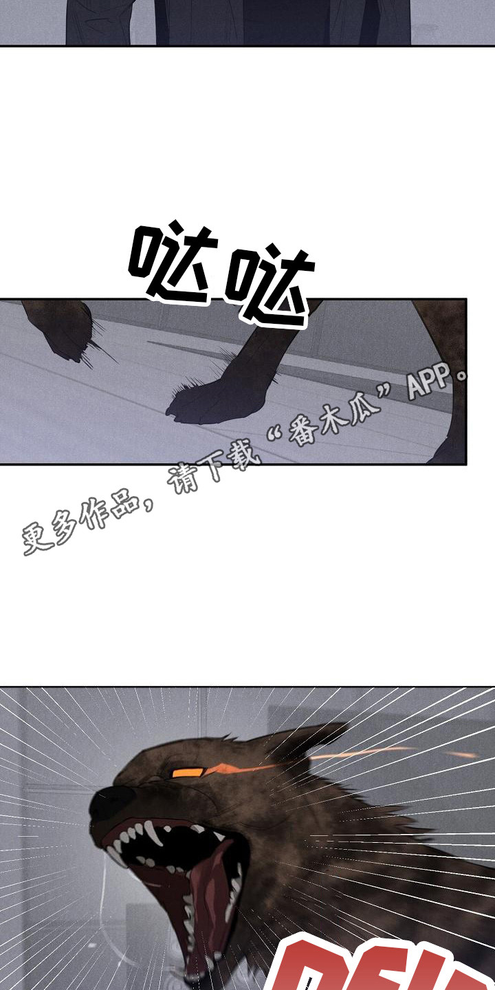 迷失方向 - 变身 - 第6页