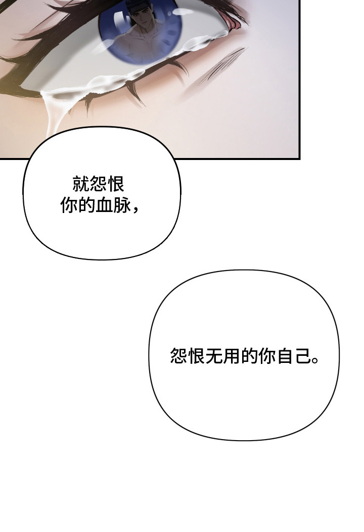 孽脉情缘 - 卑贱血脉 - 第20页