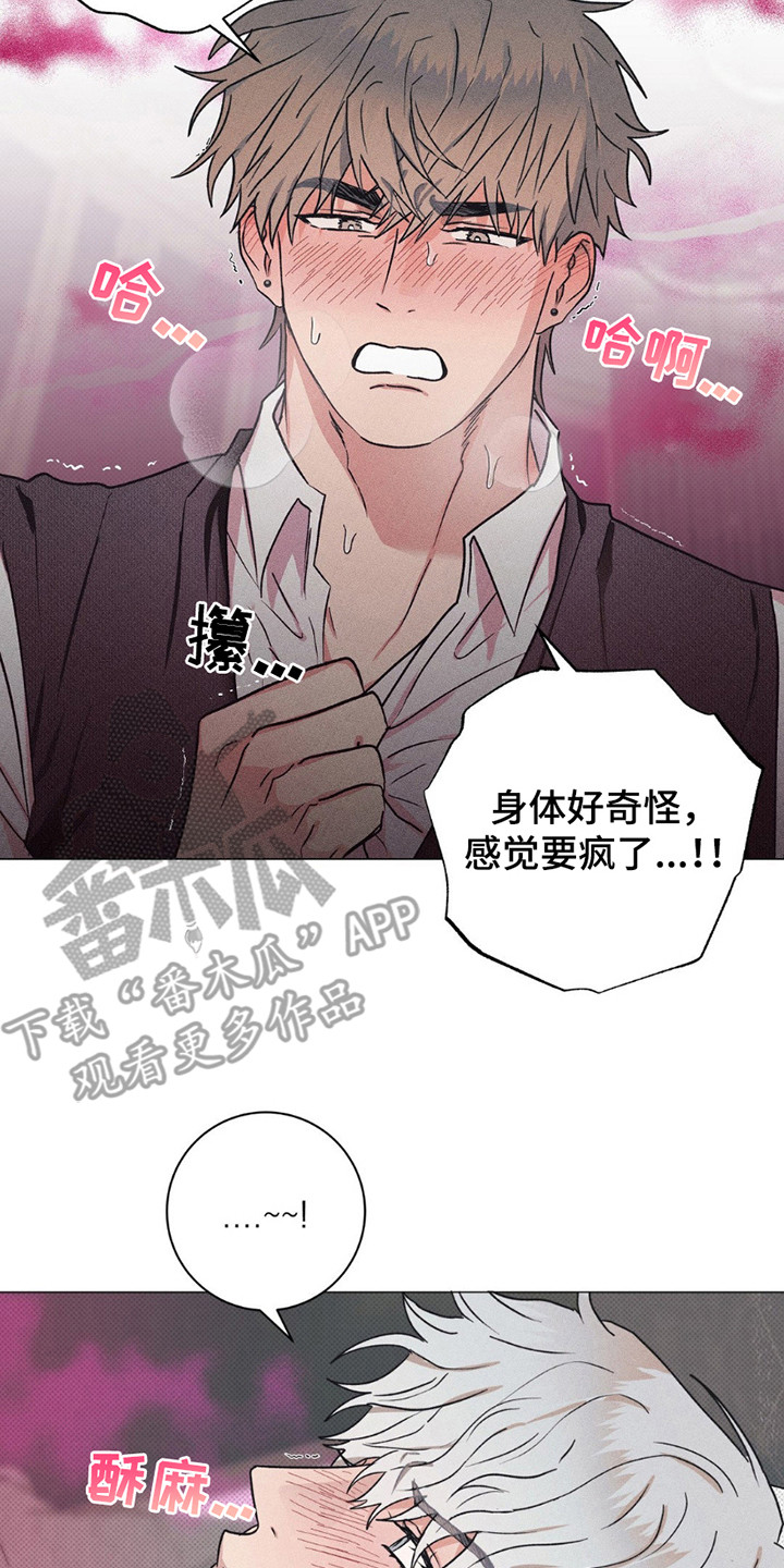 扭曲的命运 - 致辞 - 第21页