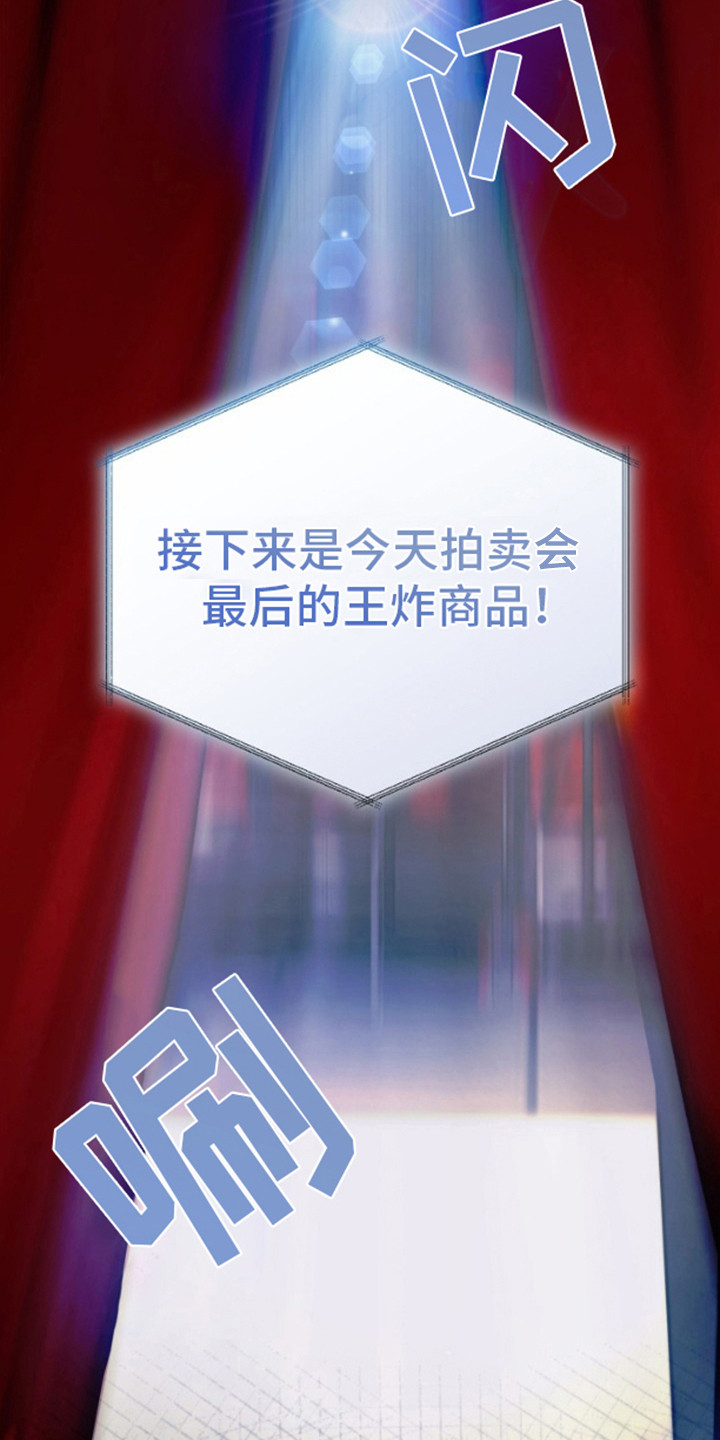 温柔执念 - 拍卖会 - 第5页