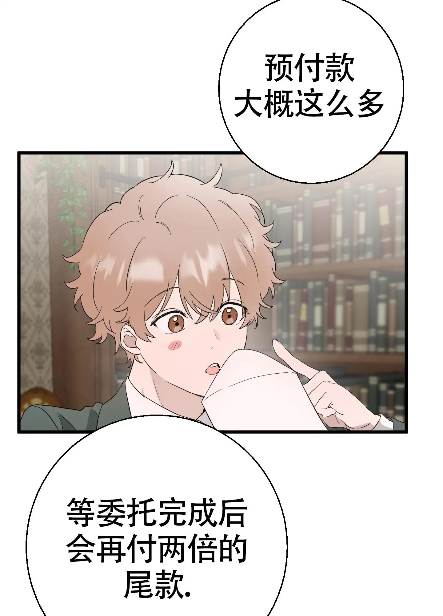 神秘委托人 - 失窃 - 第17页