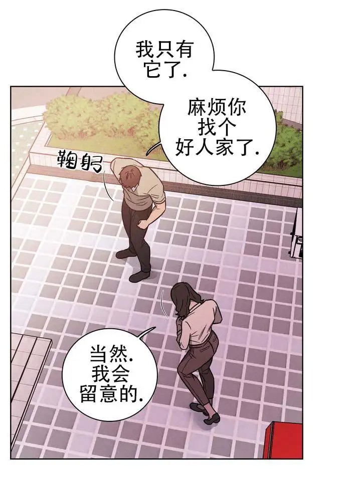 七号球袋 - 祸根 - 第23页