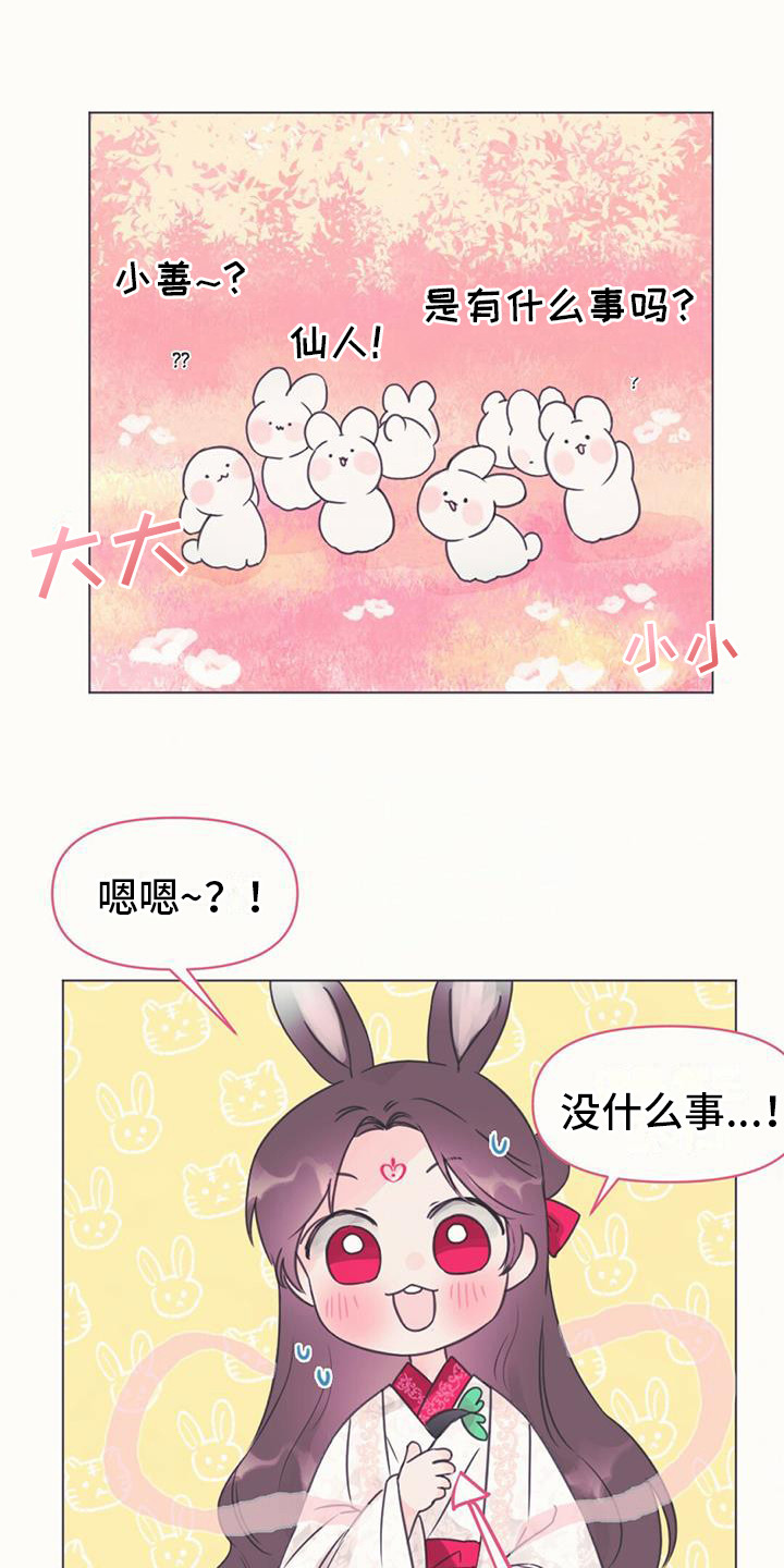 兔兔的小龙宝 - 幼龙 - 第12页