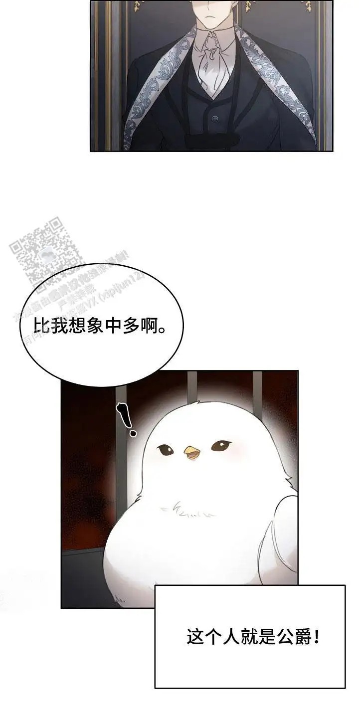 白鸟奇遇记 - 公爵 - 第10页