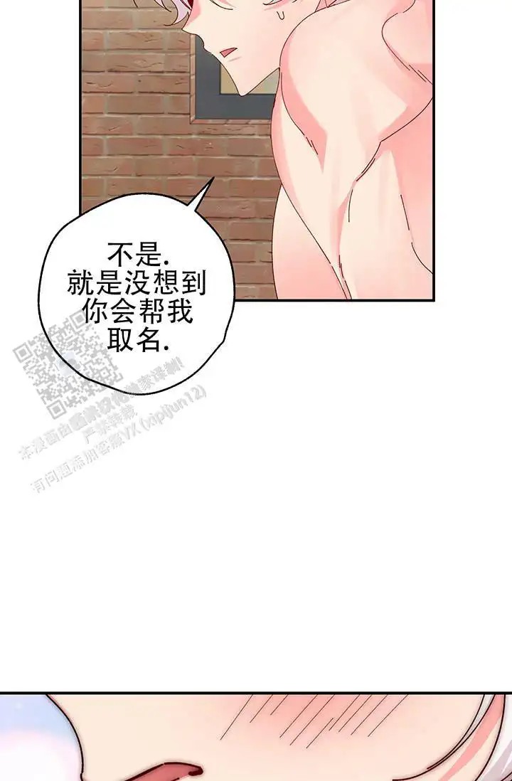 美人鱼综合征 - 浑身酸痛 - 第19页