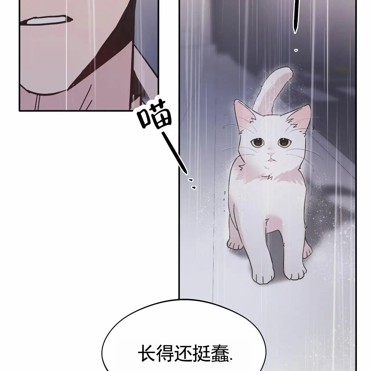纯情黑帮 - 亲自检测 - 第15页