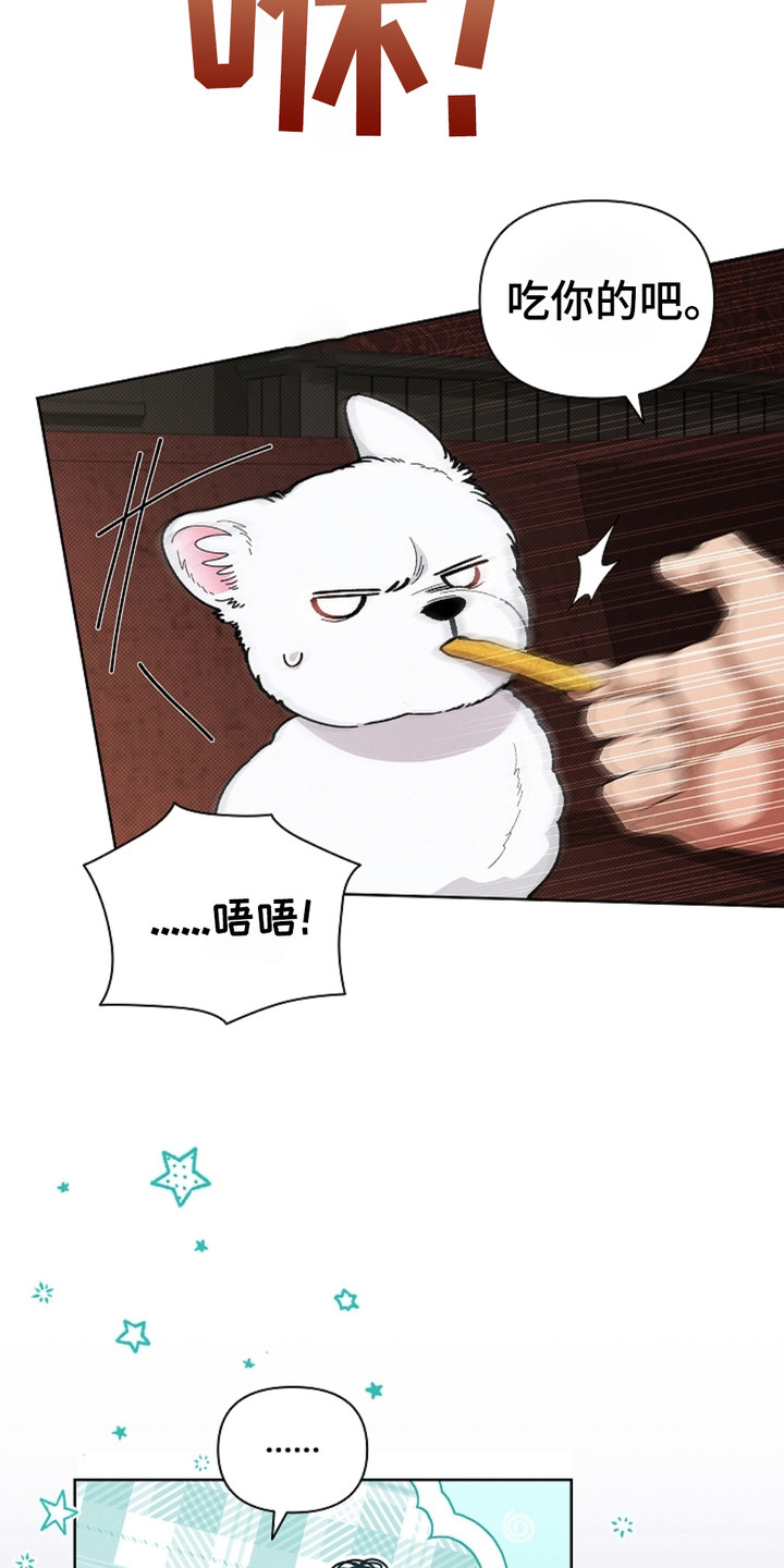 不要招惹小狗 - 小零食 - 第16页