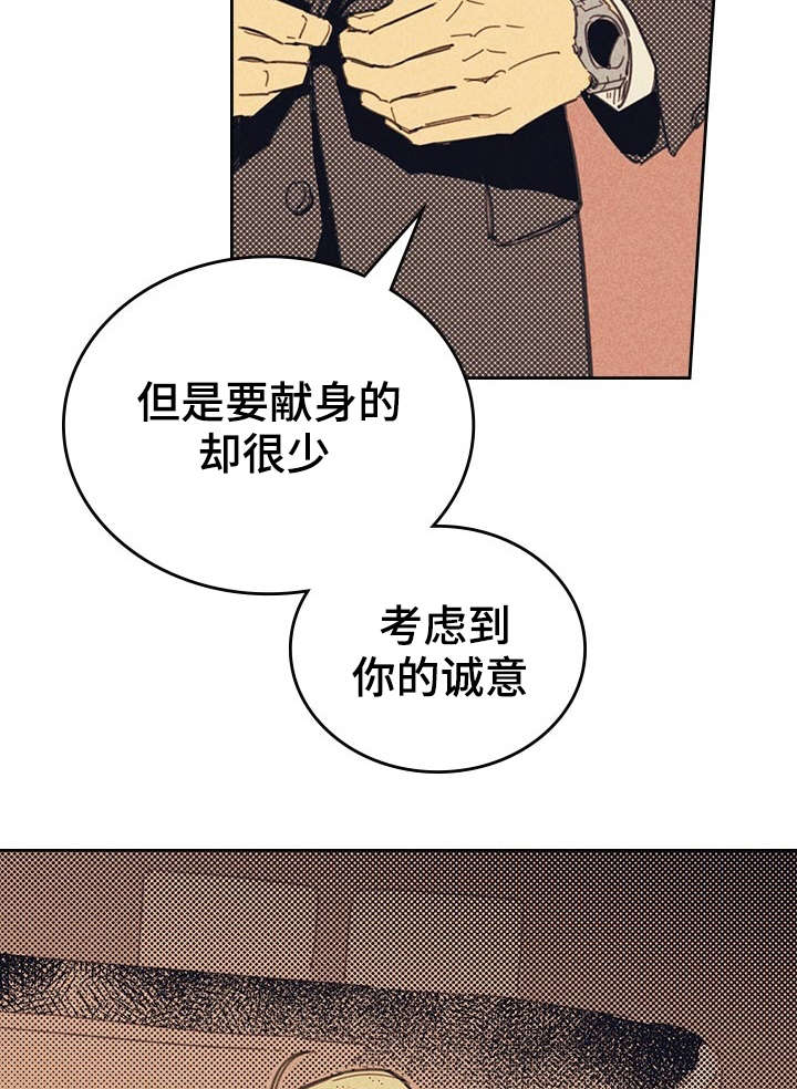 开或关 - 献身 - 第24页