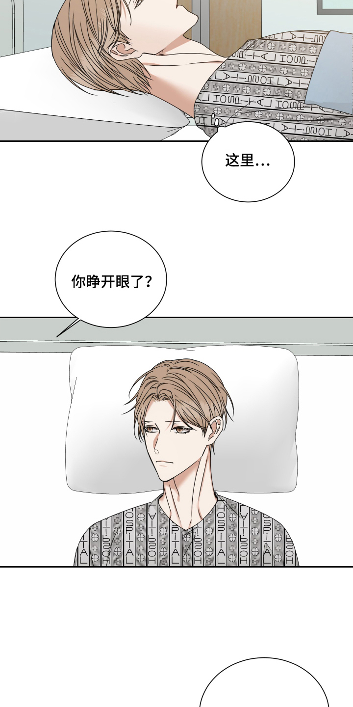 花落冥途 - 结束一切 - 第18页