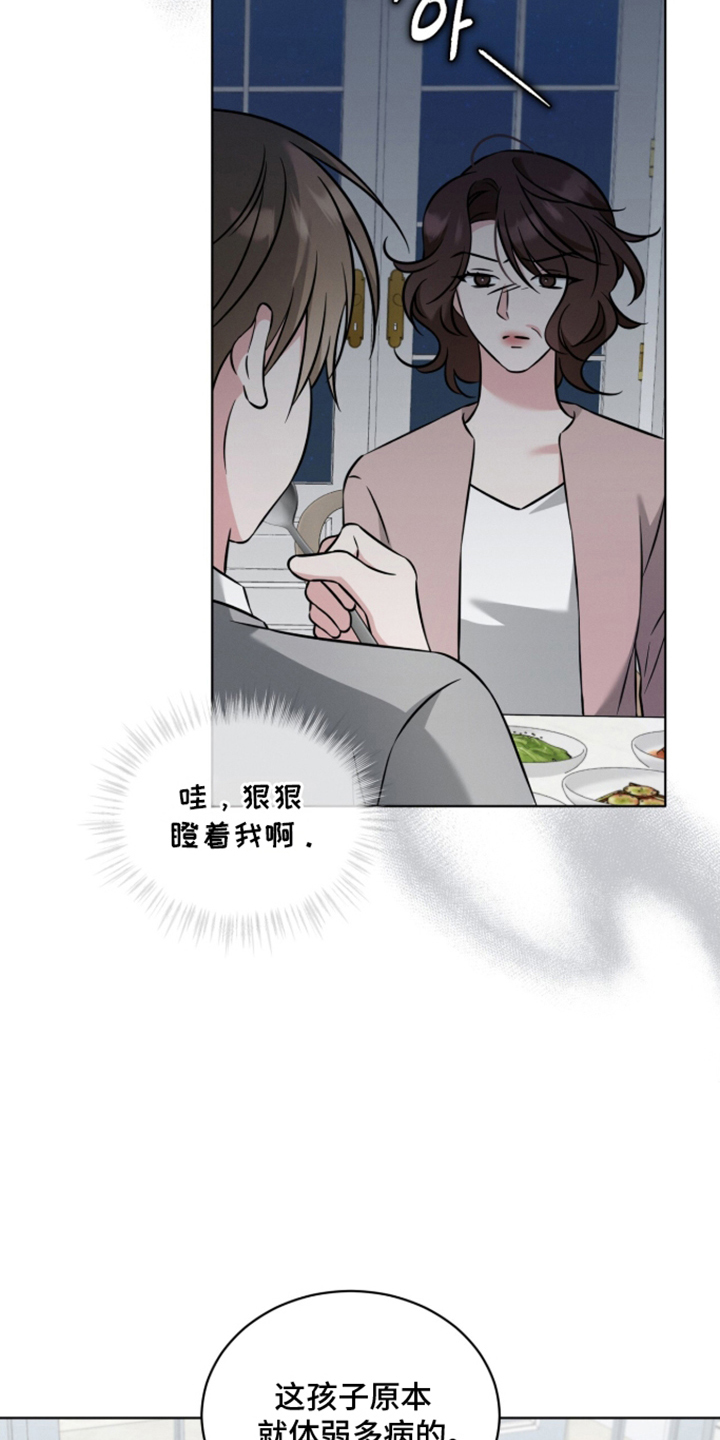 无香的花 - 真的失忆了吗 - 第20页