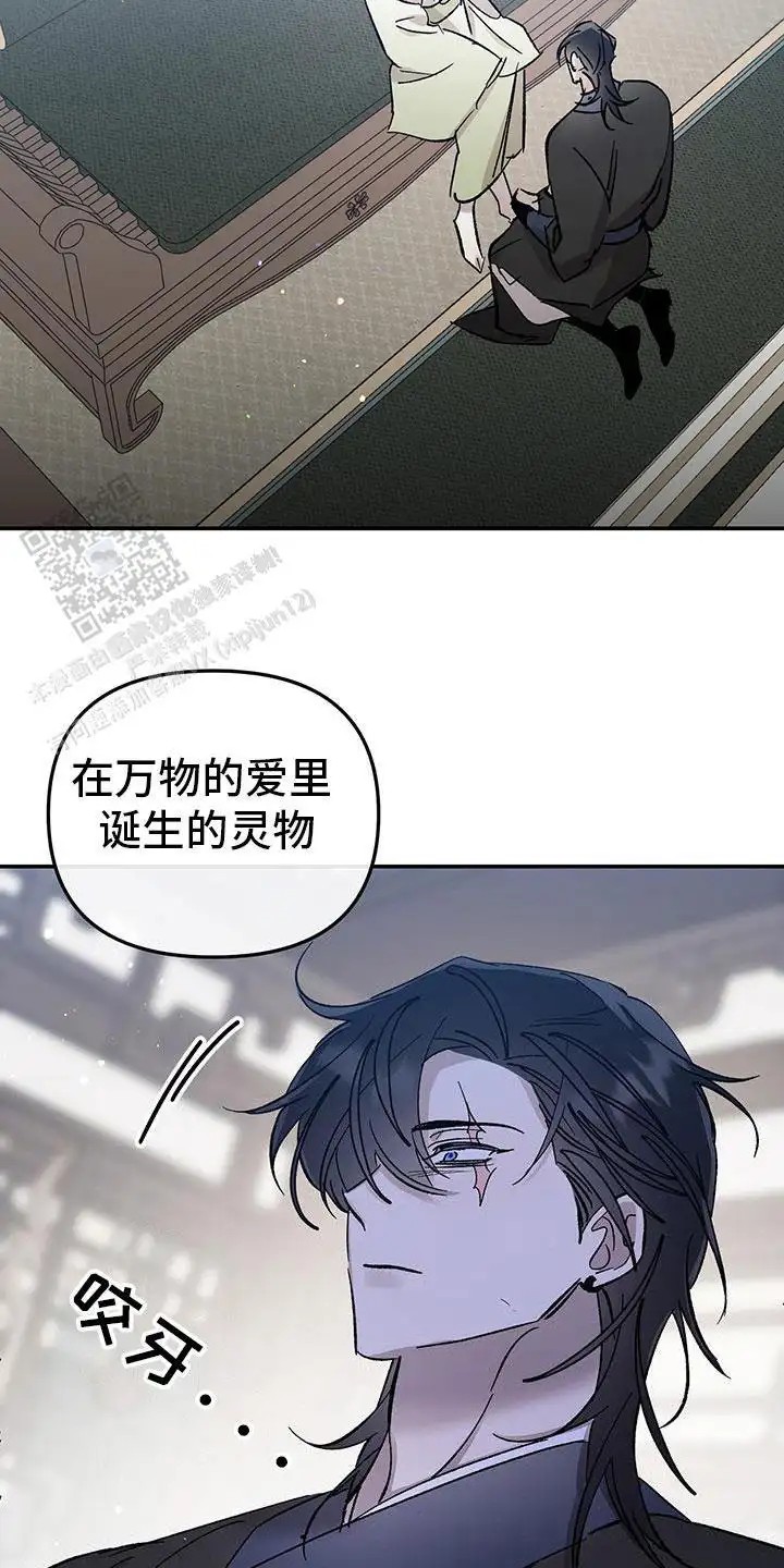 花莲守护神 - 不放弃 - 第11页