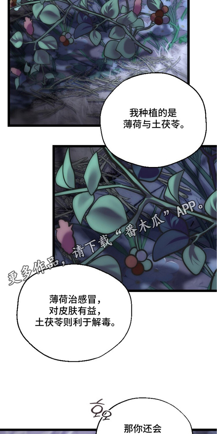 献祭之躯 - 伤疤 - 第15页
