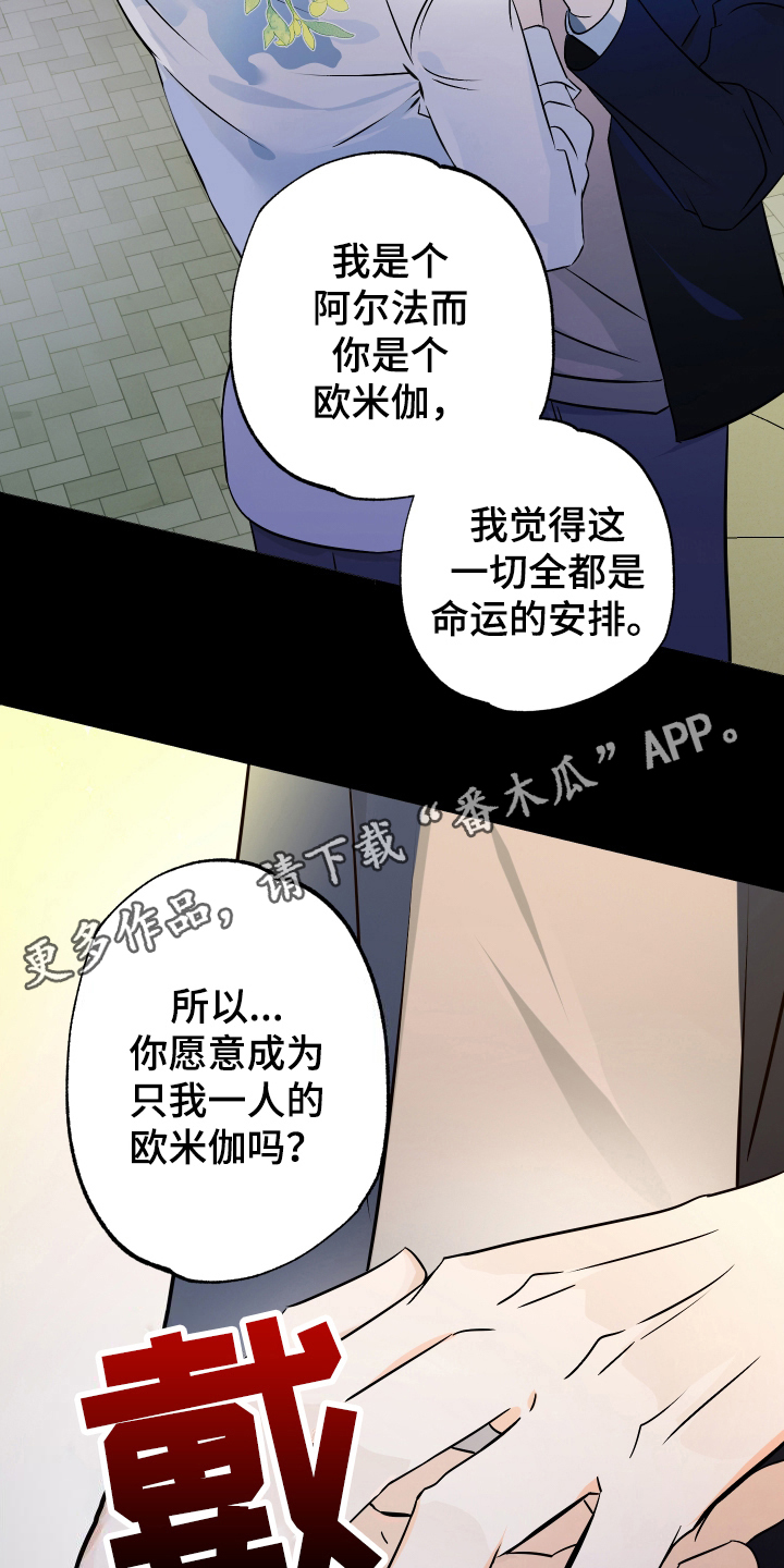 特别的阿尔法 - 初恋 - 第5页
