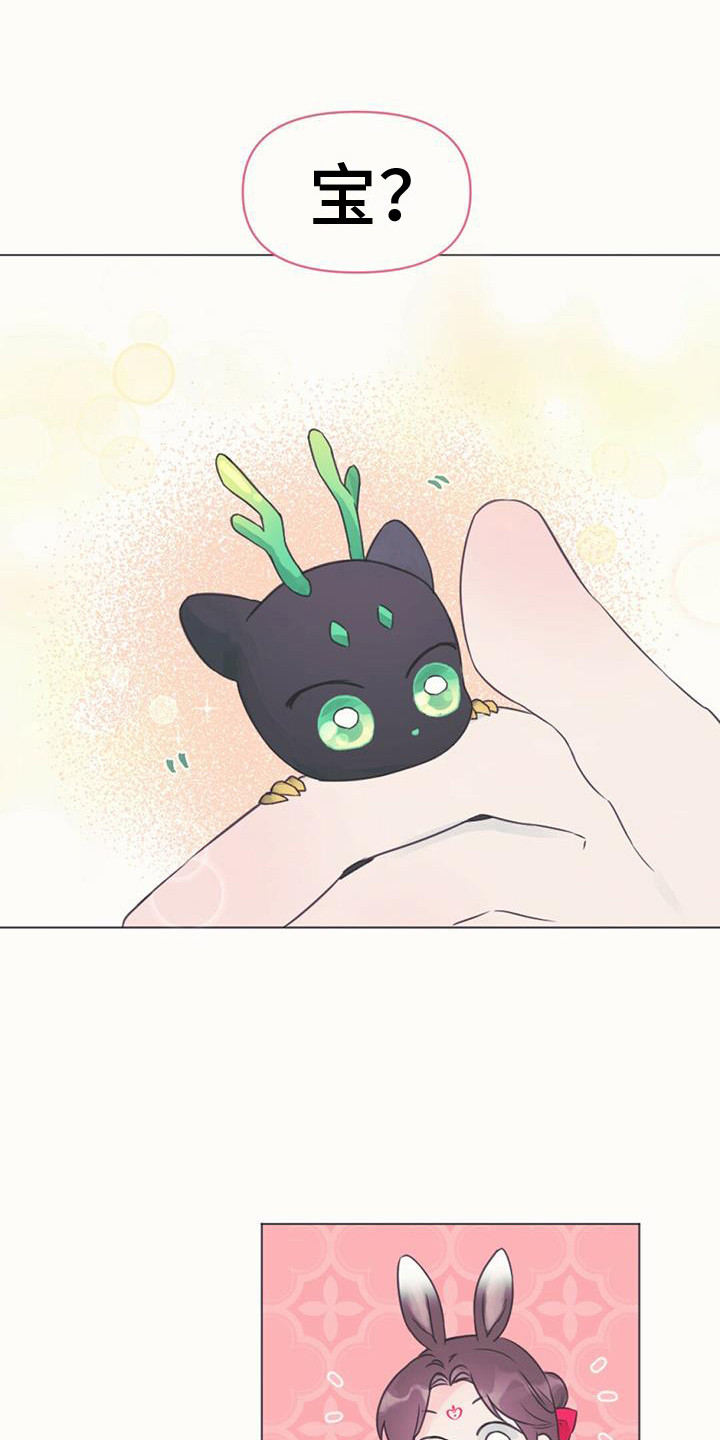 兔兔的小龙宝 - 取名 - 第19页